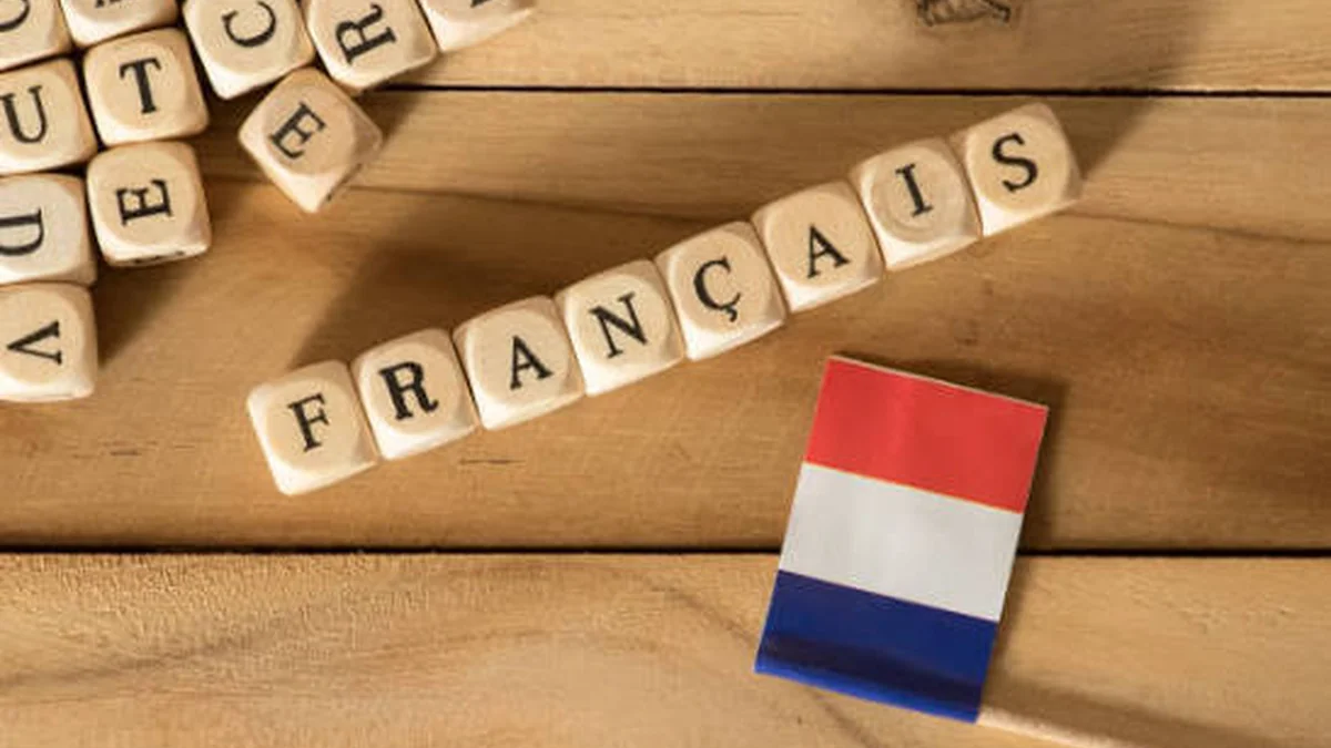 France GPA Conversion: Official 0–20 to 4.0 Scale Guide